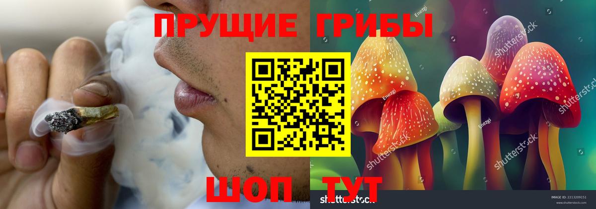 Галлюциногенные грибы Psilocybine cubensis  Галлюциногенные грибы MAGIC MUSHROOMS  Михайловка  купить  сайты  Вход с VPN 